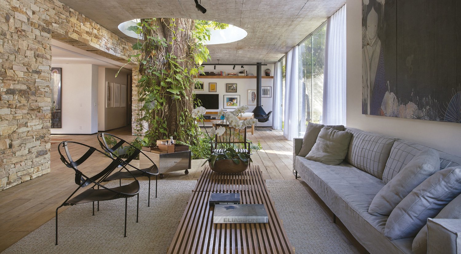 17 Biophilic Design Ideas Showcase Ways to Connect with Nature