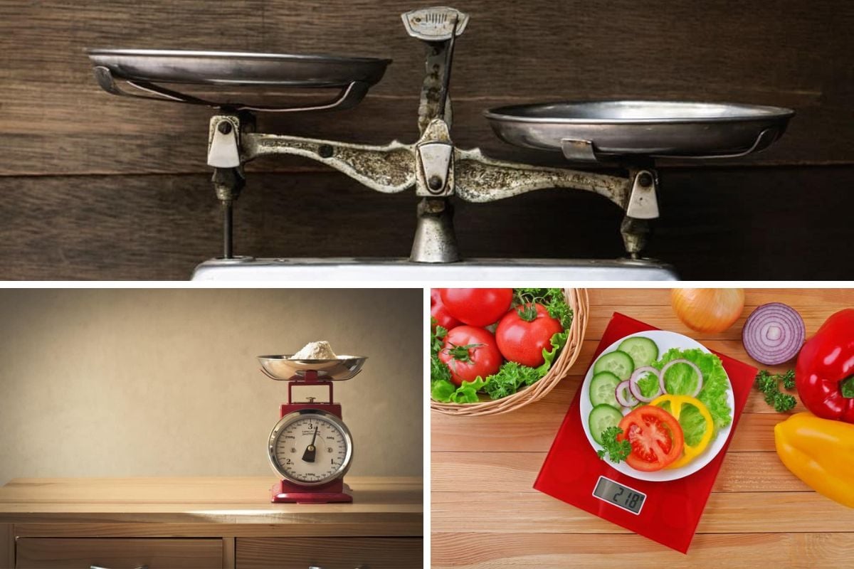 8 Different Types of Kitchen Scales to Elevate Your Culinary Skills