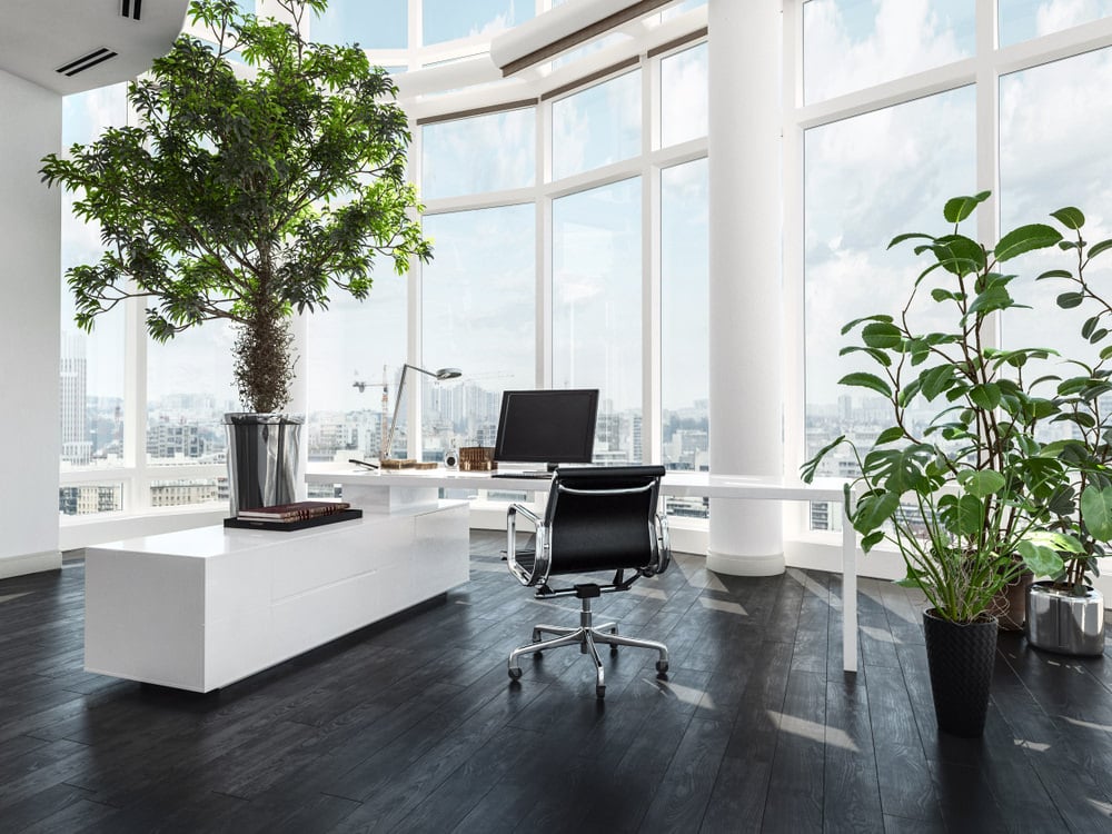 Can You Use a Condo or Townhouse Solely for Your Business Office?