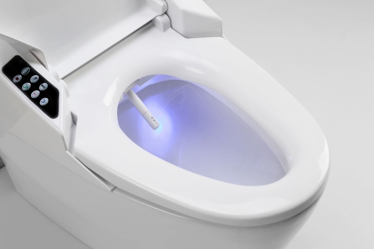 How Do Bidet Toilet Seats Work?